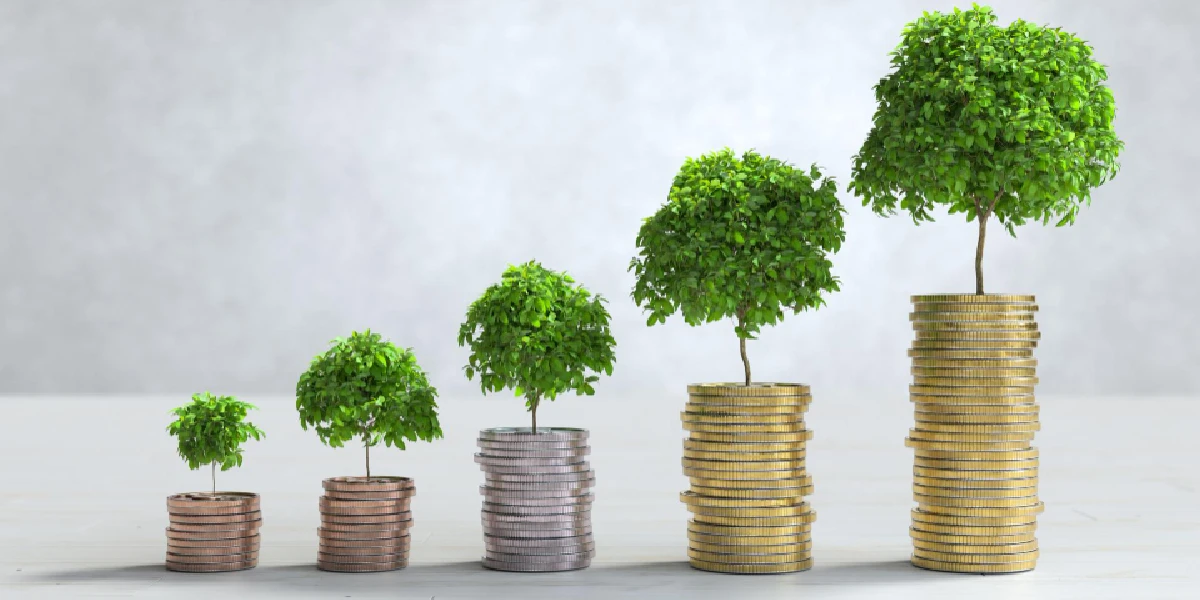 Como calcular el valor real de una inversion - Finanzas Finanzas